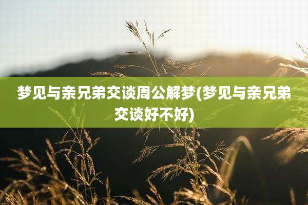 梦见与亲兄弟交谈周公解梦(梦见与亲兄弟交谈好不好)