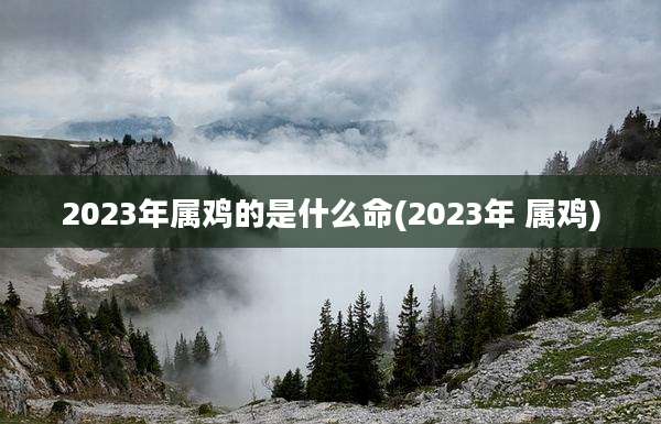 2023年属鸡的是什么命(2023年 属鸡)