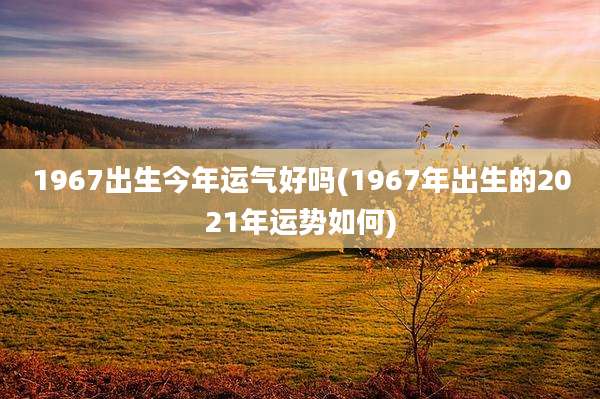 1967出生今年运气好吗(1967年出生的2021年运势如何)