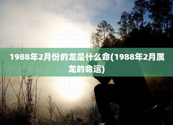 1988年2月份的龙是什么命(1988年2月属龙的命运)