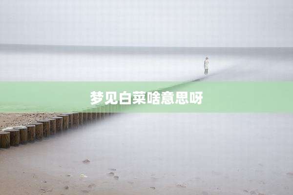 梦见白菜啥意思呀