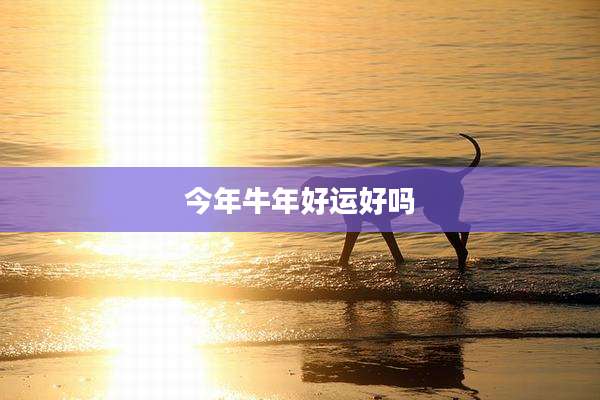 今年牛年好运好吗
