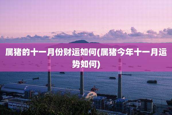 属猪的十一月份财运如何(属猪今年十一月运势如何)