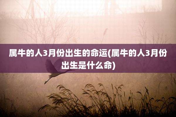 属牛的人3月份出生的命运(属牛的人3月份出生是什么命)