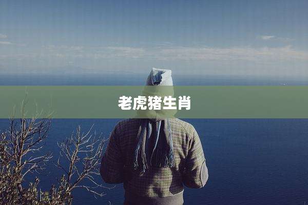 老虎猪生肖