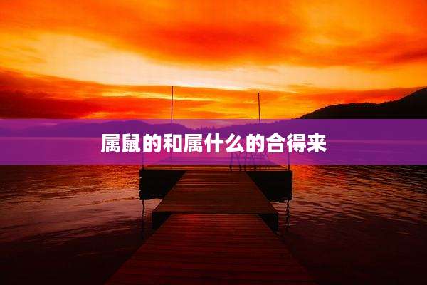 属鼠的和属什么的合得来