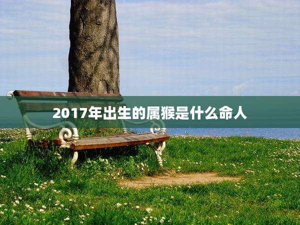 2017年出生的属猴是什么命人