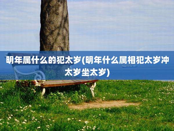 明年属什么的犯太岁(明年什么属相犯太岁冲太岁坐太岁)