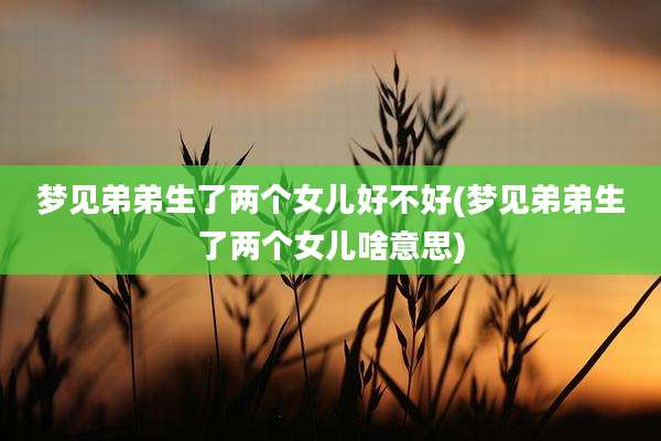 梦见弟弟生了两个女儿好不好(梦见弟弟生了两个女儿啥意思)