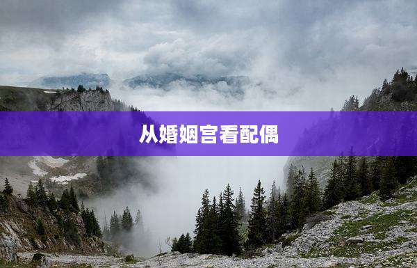 从婚姻宫看配偶