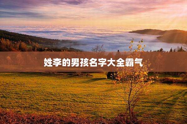 姓李的男孩名字大全霸气