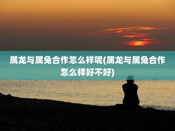 属龙与属兔合作怎么样呢(属龙与属兔合作怎么样好不好)