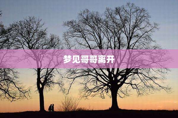 梦见哥哥离开