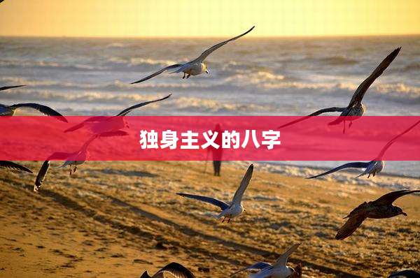 独身主义的八字