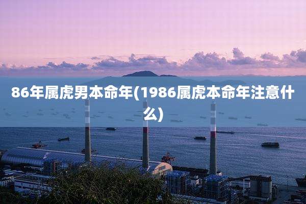 86年属虎男本命年(1986属虎本命年注意什么)