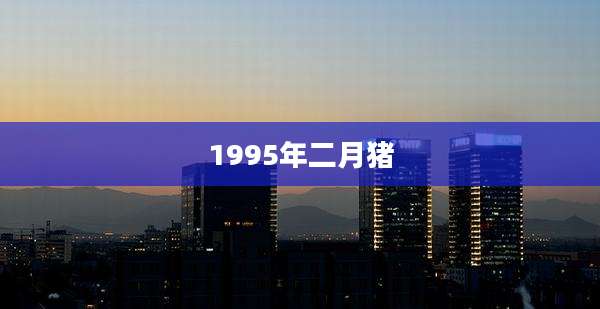 1995年二月猪