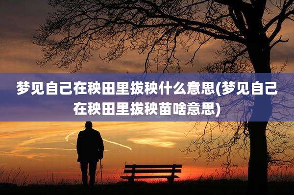 梦见自己在秧田里拔秧什么意思(梦见自己在秧田里拔秧苗啥意思)