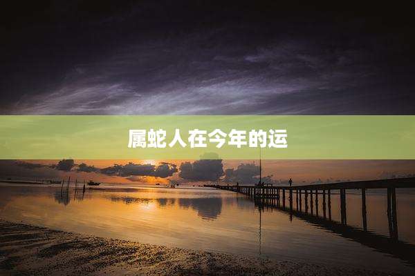 属蛇人在今年的运