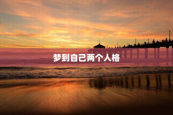梦到自己两个人格