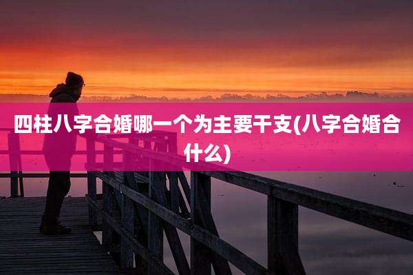 四柱八字合婚哪一个为主要干支(八字合婚合什么)