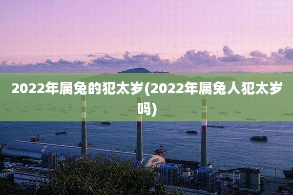2022年属兔的犯太岁(2022年属兔人犯太岁吗)