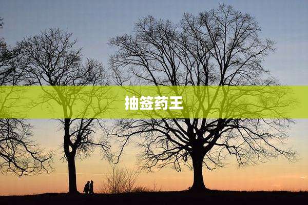 抽签药王