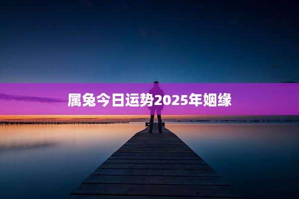 属兔今日运势2025年姻缘