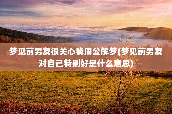梦见前男友很关心我周公解梦(梦见前男友对自己特别好是什么意思)