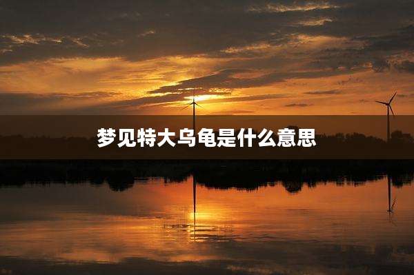 梦见特大乌龟是什么意思