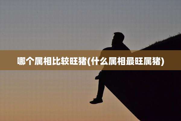 哪个属相比较旺猪(什么属相最旺属猪)