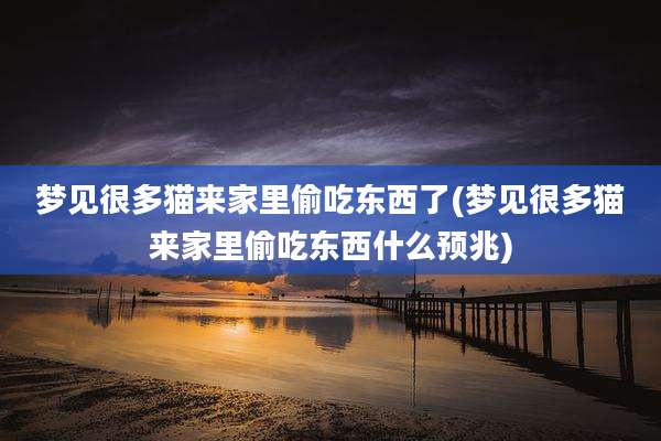 梦见很多猫来家里偷吃东西了(梦见很多猫来家里偷吃东西什么预兆)