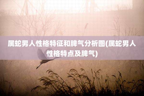 属蛇男人性格特征和脾气分析图(属蛇男人性格特点及脾气)