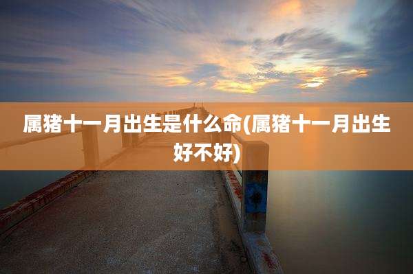 属猪十一月出生是什么命(属猪十一月出生好不好)