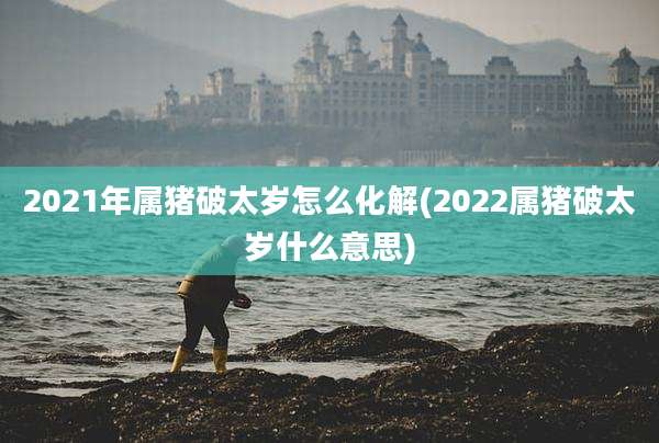 2021年属猪破太岁怎么化解(2022属猪破太岁什么意思)
