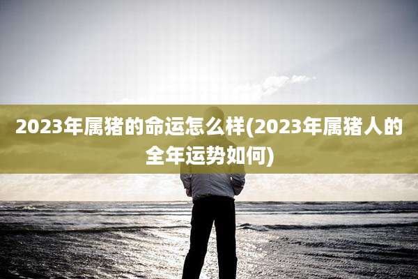 2023年属猪的命运怎么样(2023年属猪人的全年运势如何)