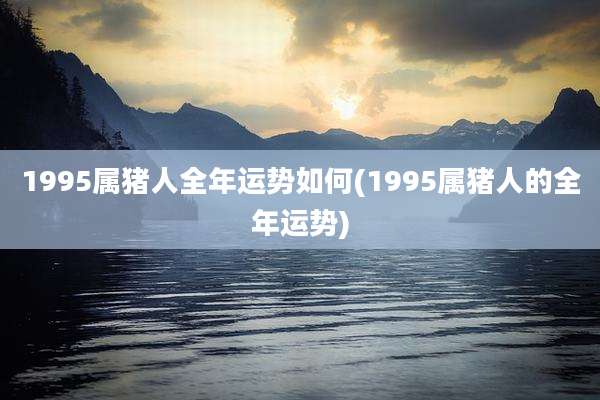 1995属猪人全年运势如何(1995属猪人的全年运势)