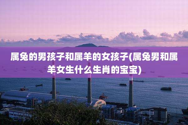 属兔的男孩子和属羊的女孩子(属兔男和属羊女生什么生肖的宝宝)