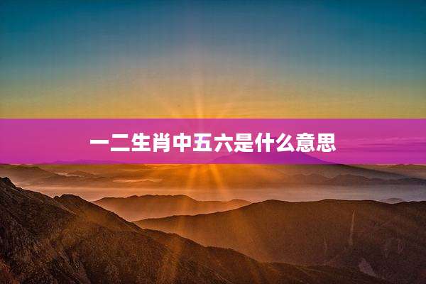 一二生肖中五六是什么意思