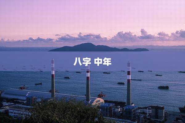 八字 中年