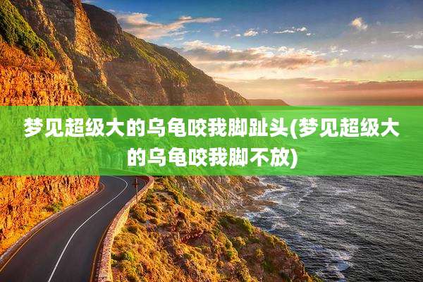 梦见超级大的乌龟咬我脚趾头(梦见超级大的乌龟咬我脚不放)