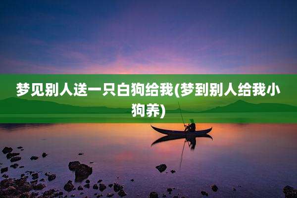 梦见别人送一只白狗给我(梦到别人给我小狗养)
