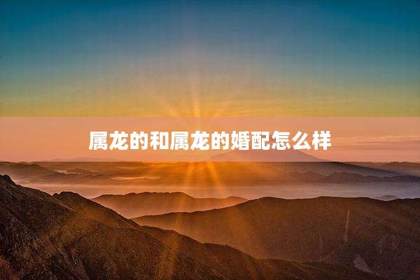 属龙的和属龙的婚配怎么样