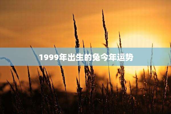 1999年出生的兔今年运势