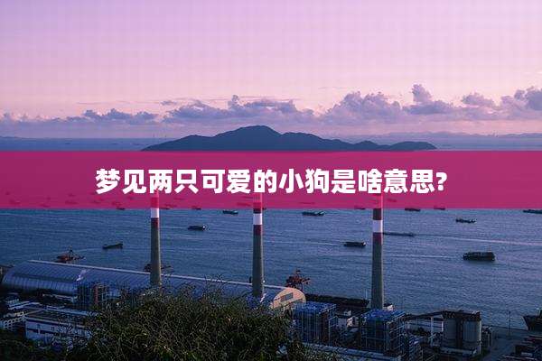 梦见两只可爱的小狗是啥意思?