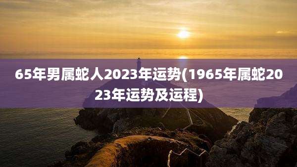 65年男属蛇人2023年运势(1965年属蛇2023年运势及运程)
