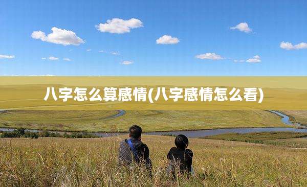 八字怎么算感情(八字感情怎么看)