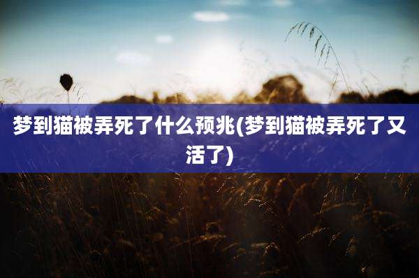 梦到猫被弄死了什么预兆(梦到猫被弄死了又活了)