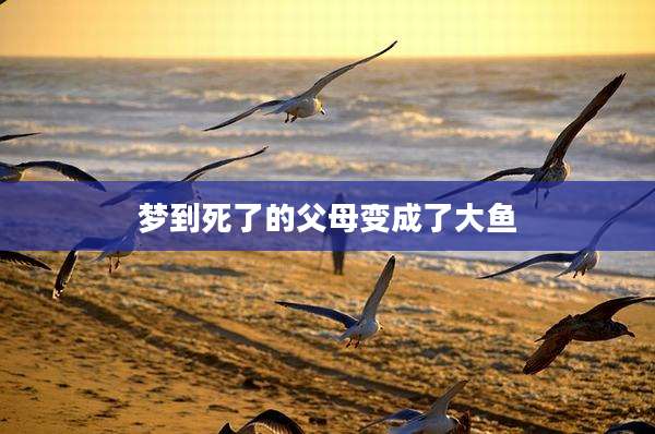 梦到死了的父母变成了大鱼