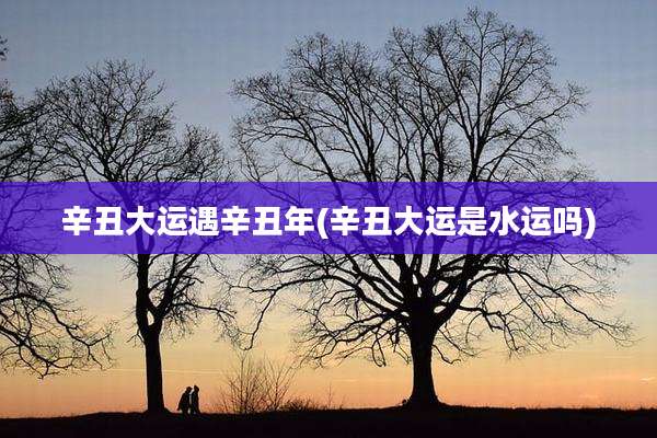 辛丑大运遇辛丑年(辛丑大运是水运吗)