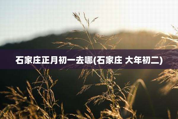 石家庄正月初一去哪(石家庄 大年初二)